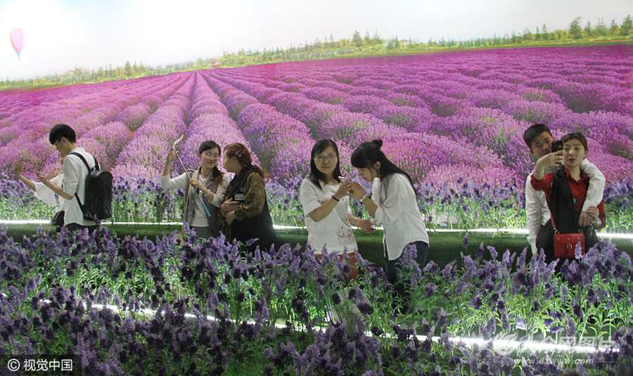 4��30�գ���ɽ�|��(j��)��Ȫ��·�ϣ�һ�̈��T�ھ޷�޹�²ݻ������پ�����������������ǰ����������M����һ�S����һЩ����]���h(yu��n);���У����Լفy��Į���ӛ����֙C(j��)�в��٘�Ȥ��