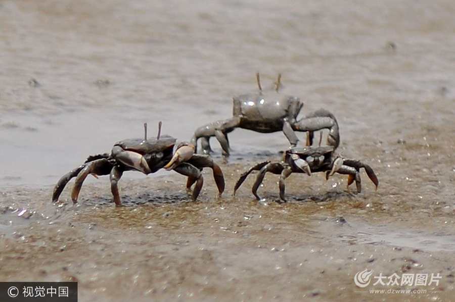 2017��7��7�������u�У��S���˳�����(sh��)���fӋ(j��)�����ڞ�Ϳ�ϵ��з�͏�Ϳ�~�߳�����������ˮ�д���Ғʳ�����ڔ�(sh��)�������ܼ���(ch��ng)��ε����^��