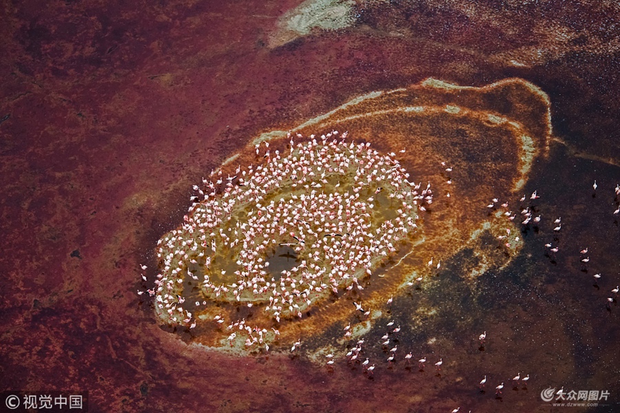 ���ؕr�g2018��6��20�գ����޿��၆��̹ɣ�၆߅�磬53�q�������I���zӰ��Hao Jiang�R�^���ڼ{��¡���ۼ��Ļ����B�M����һֻ����ħ���۾�����