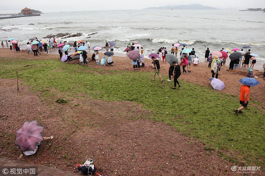 2018��7��9�գ��G̦�S�����u�����uǰ�������գ����uӭ�е�������⣬���I�L���˼������֝G̦�S���˱�ӿԽ�^���G�W(w��ng)Ư����������P���T�M������ð���G�_�������坍��