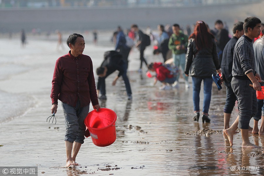 2018��11��9�������u�� �˂������u���򺣞��s��ץ�з��