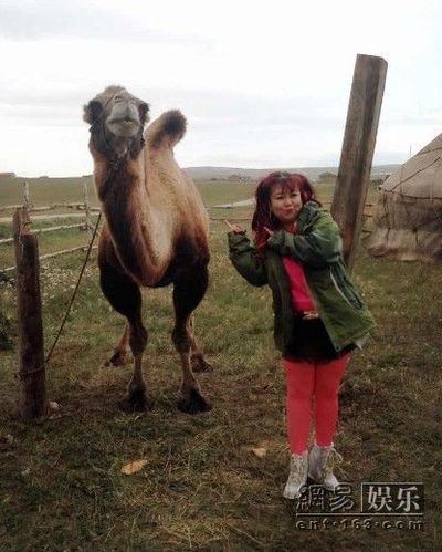 �����ڡ�����Ӣ�ۡ��Ĕz�F����