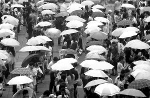 ���2500��ð�꓌��Ů����x��ռ�߳�(�M�D)