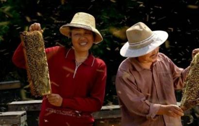 �����2���_����δ����� �ѵ����g���D��