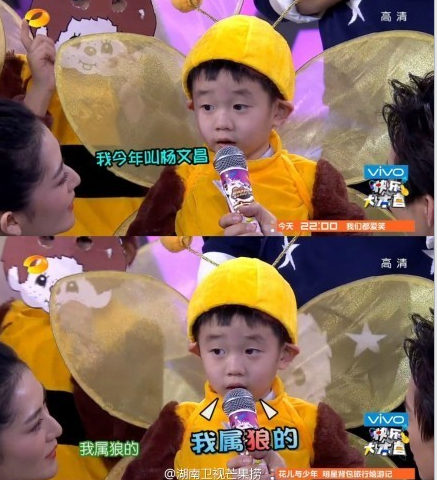 �������Ӵ����߼t