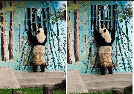 ����؈�^���՟oҕ������ ���T�󴵿��{��(�D)