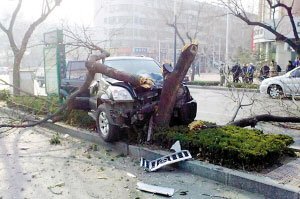 ɽ�|̩�����˘���(zh��n) ·�˷Q������ű��ڡ�(�D)